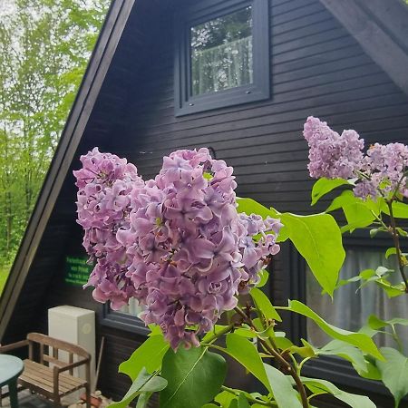 Ferienhaus Marie 125 Bad Arolsen Buitenkant foto