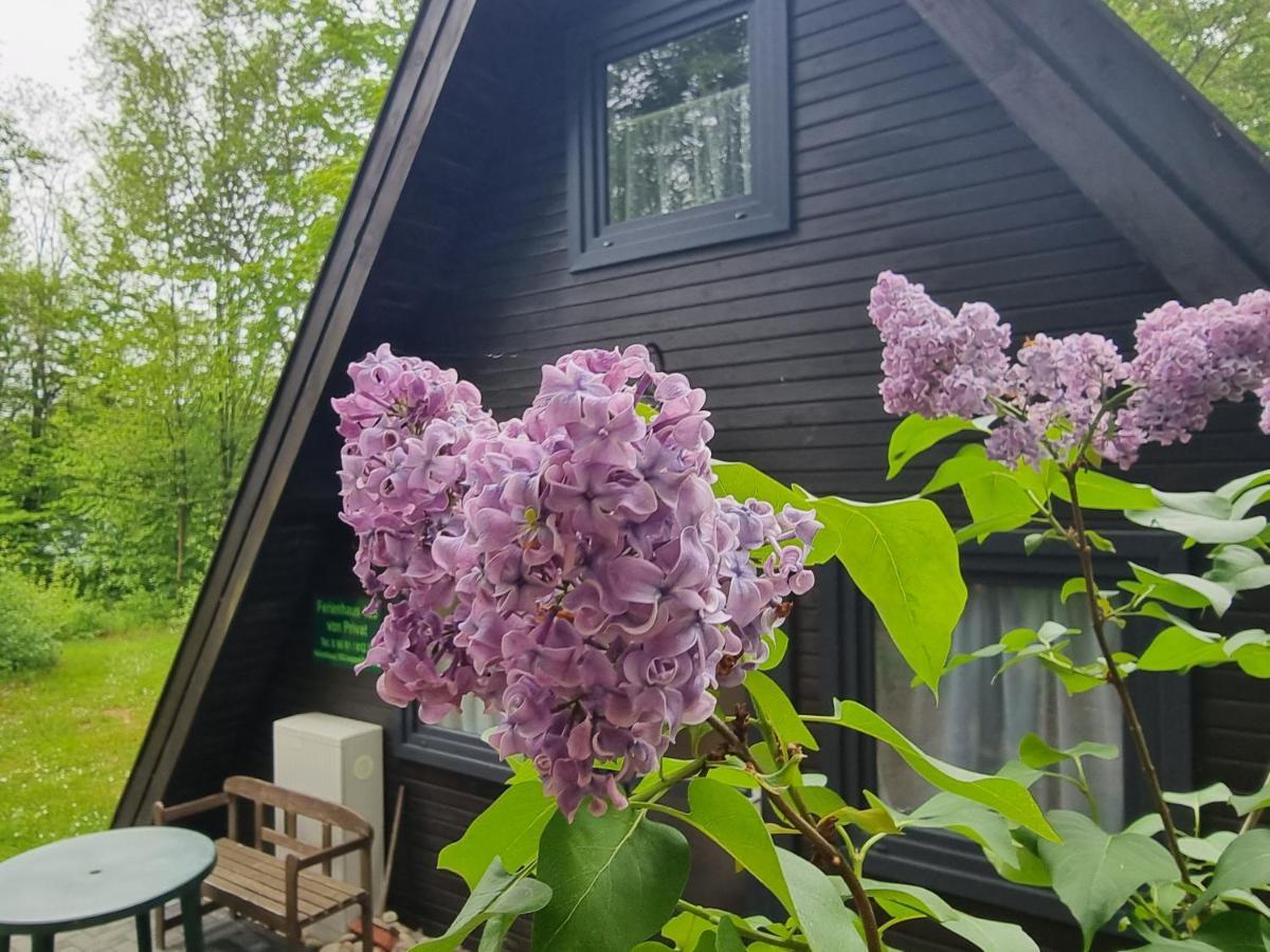 Ferienhaus Marie 125 Bad Arolsen Buitenkant foto